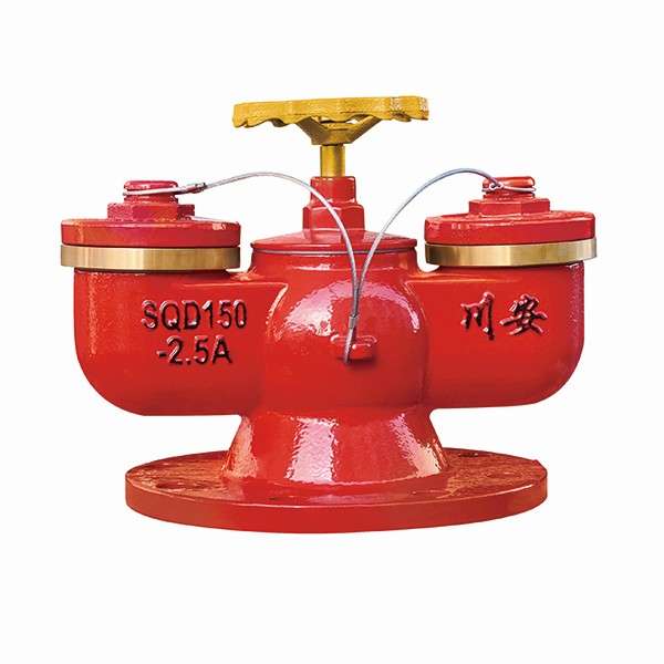 地下多用式水泵接合器