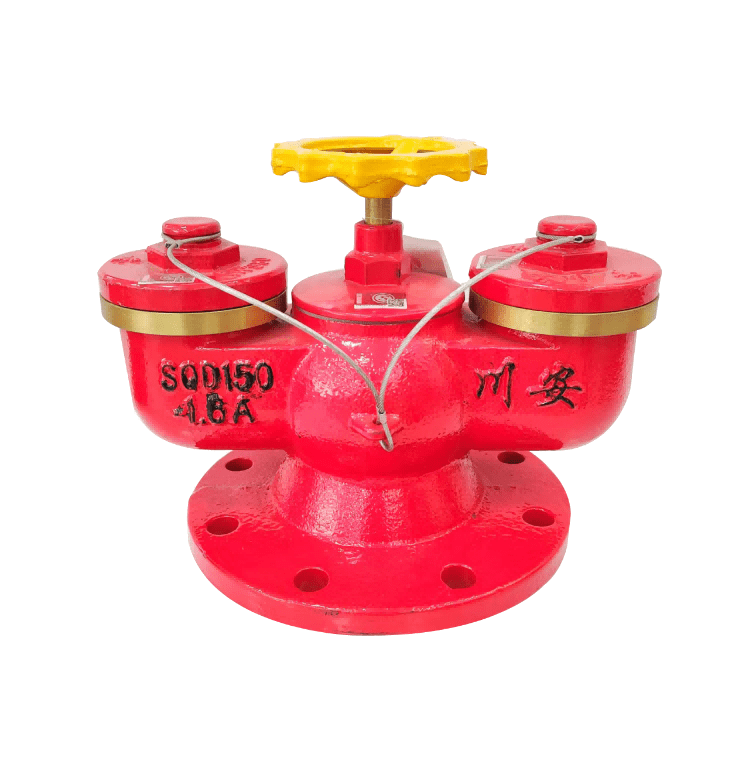 地下多用式水泵接合器